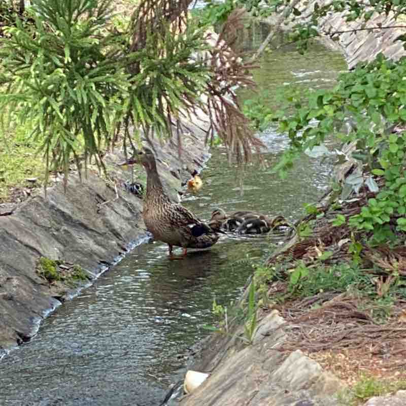 EmbraceURFit Deanna post image