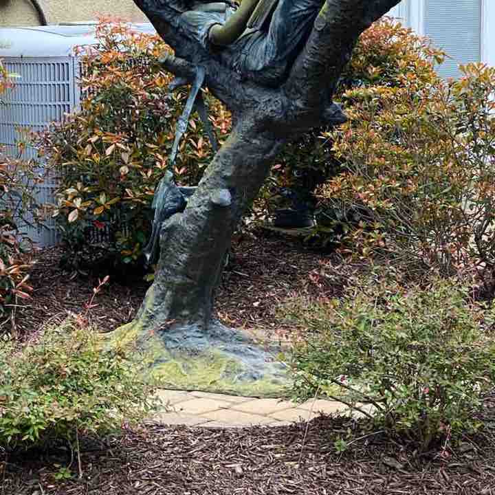 EmbraceURFit Deanna post image