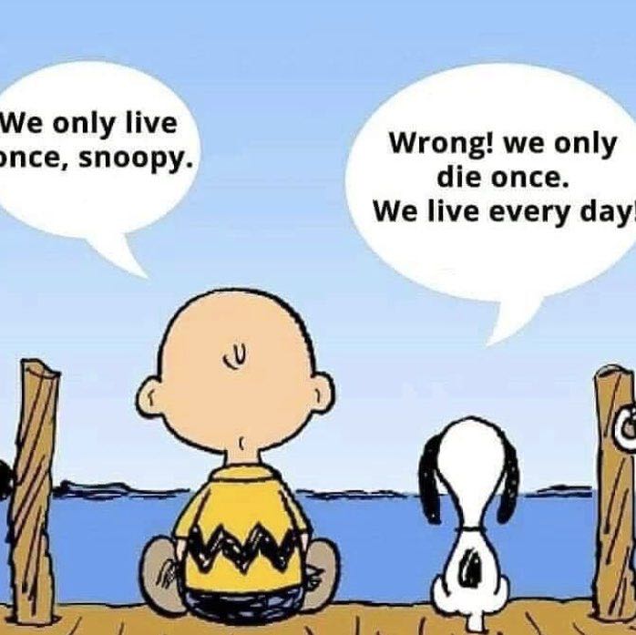 The Optimists .... post image