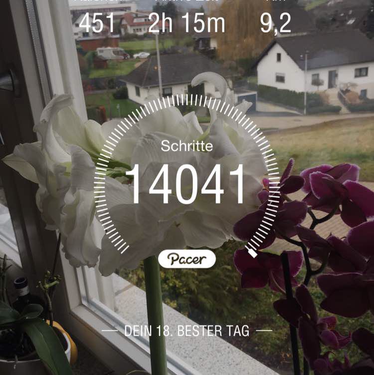 🌻🌻🌻Christianej311🌻 post 1