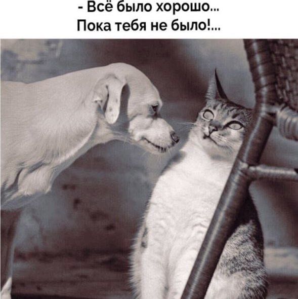 ❄️Натали 🏃‍♀️🇷🇺 post 2
