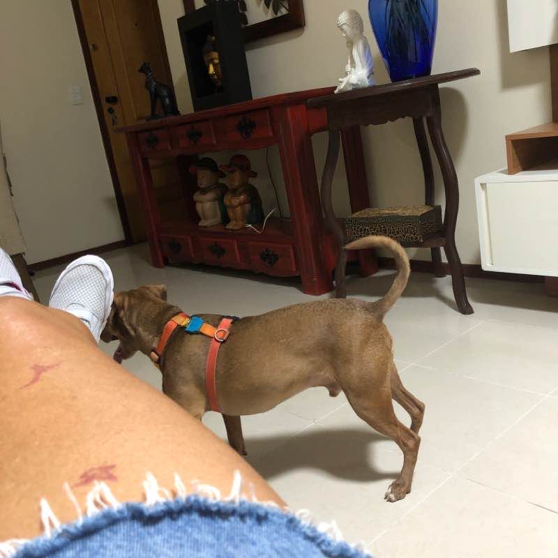 Márcia post 2