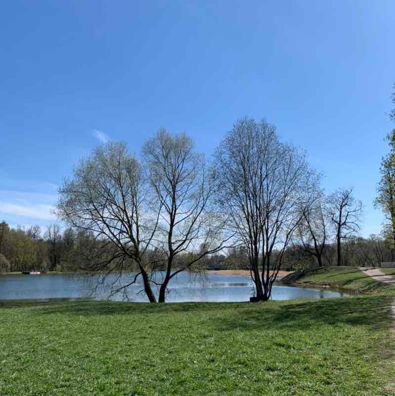 Alena🏔🇷🇺 post 1