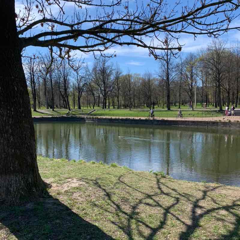 Alena🏔🇷🇺 post 2