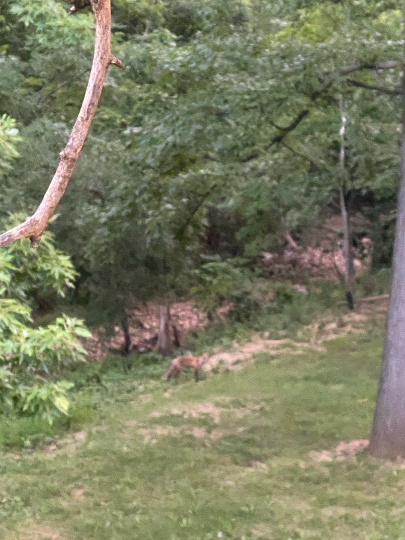 walking near me in Founders Park in winter