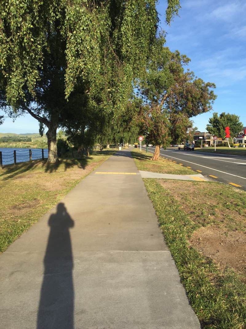 walking near me in Northcroft Reserve in summer