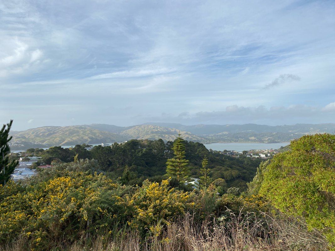 walking near me in Ascot Park in summer