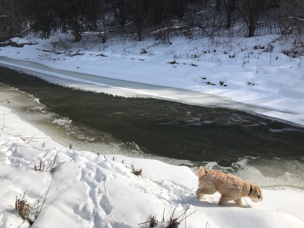 walking near me in Edelweiss Park in winter