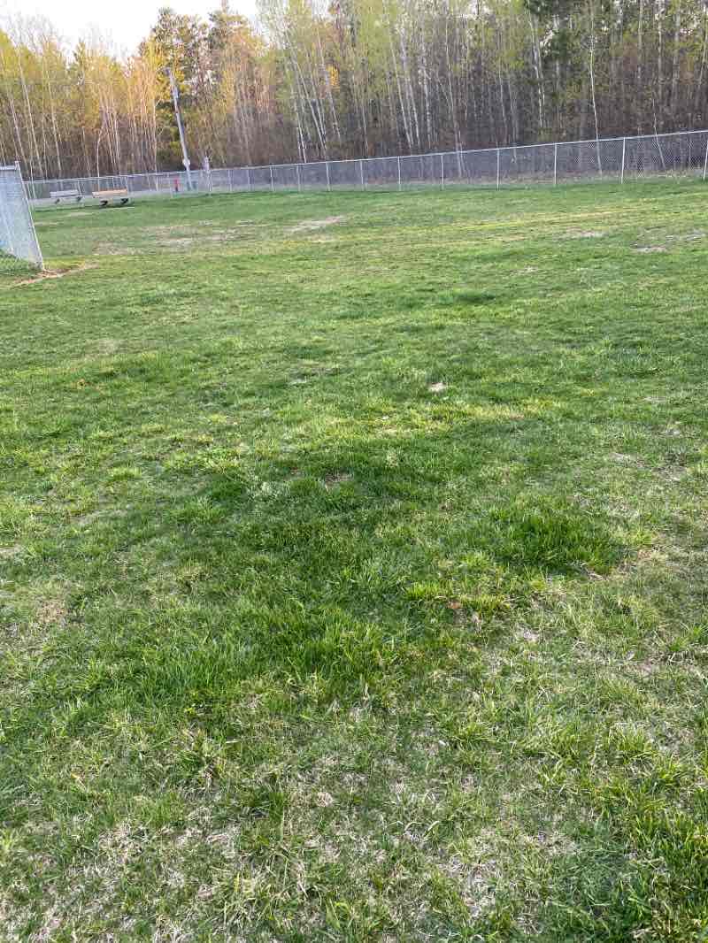 walking near me in Trailside Park in winter