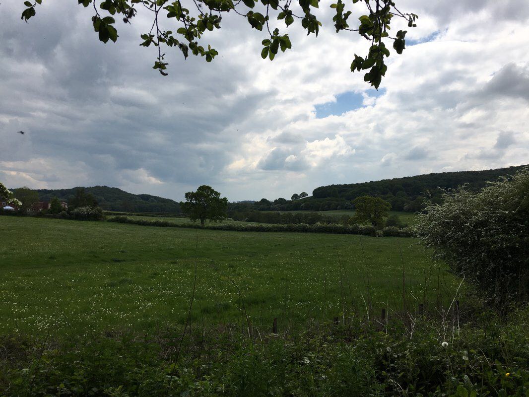 walking near me in Tean Road Rec in winter