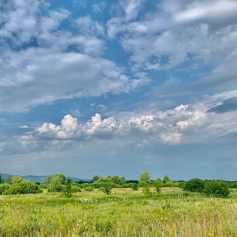 Alexander Kudrin post 1