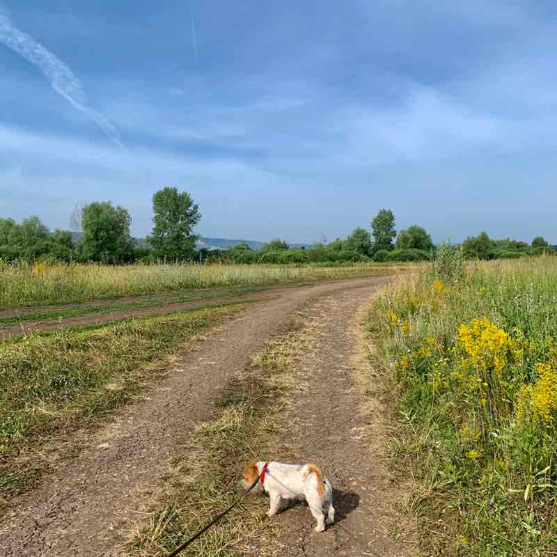 Alexander Kudrin post 2