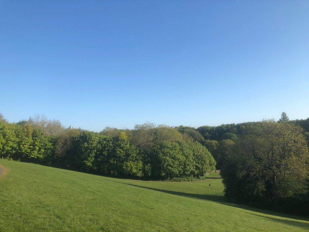 walking near me in Broadmeadow Linear Park in winter