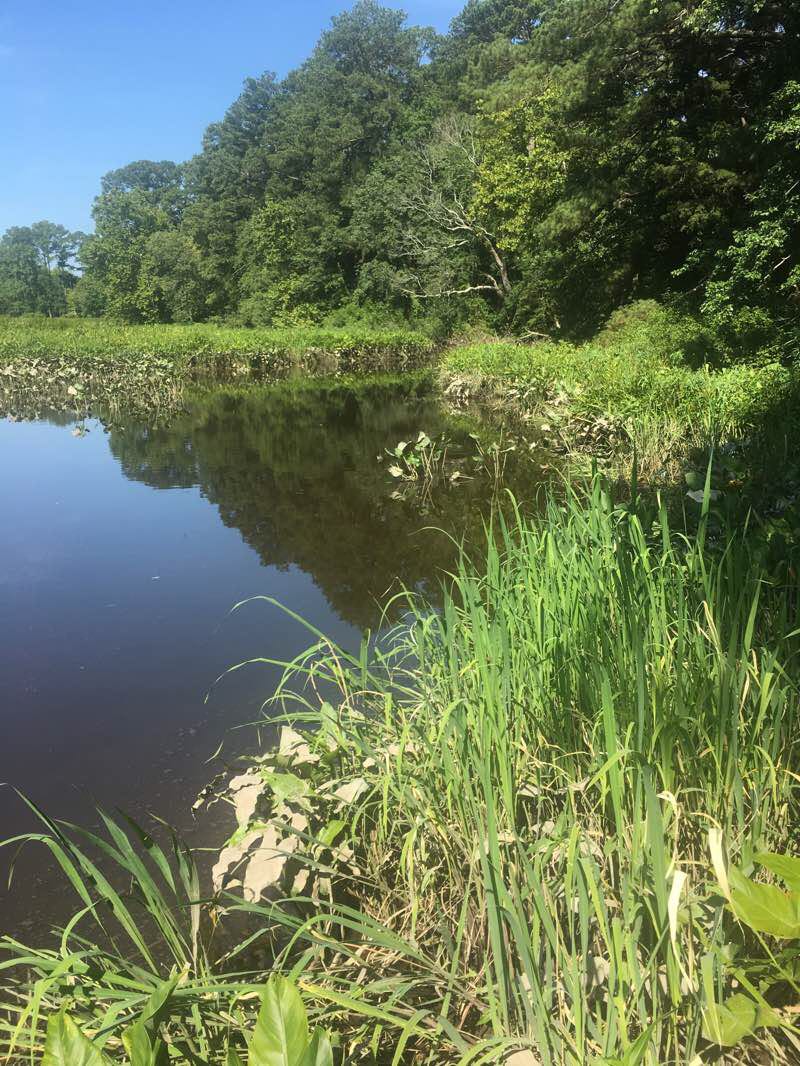 walking near me in Pemberton Historical Park in winter