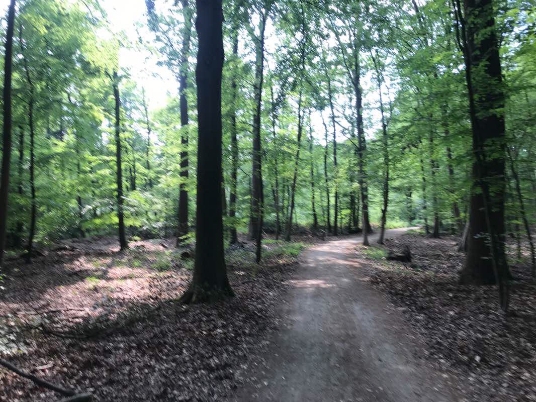 walking near me in Hutewald in winter