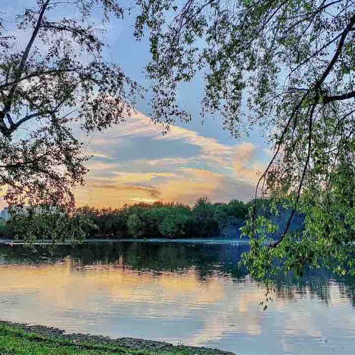 Екатерина 🦔 post 2