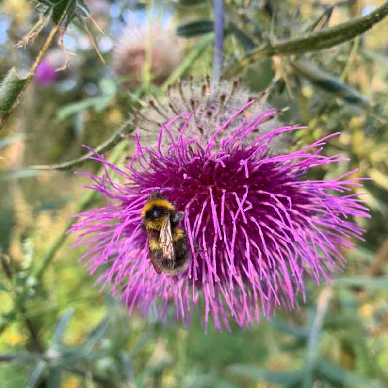 Екатерина 🦔 post 2