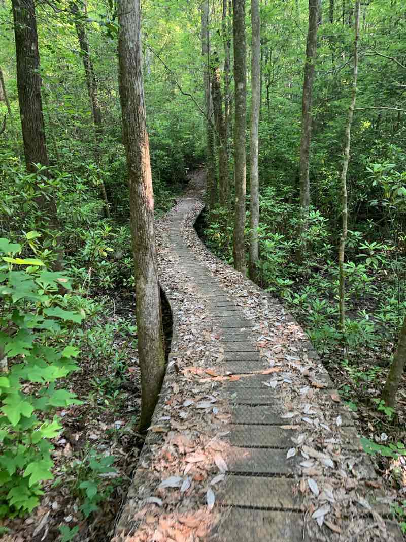 walking near me in Lake Lurleen State Park in winter