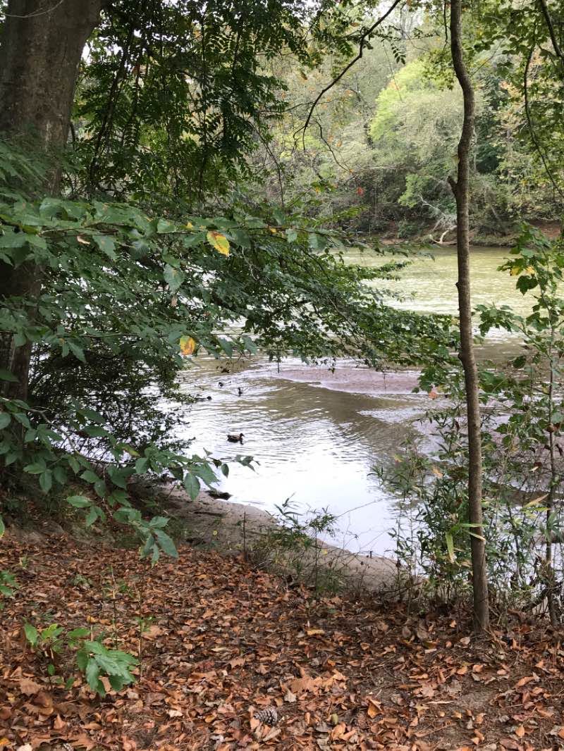 walking near me in Don White Park in winter