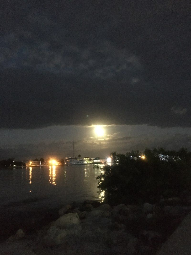 walking near me in Memorial Park in winter