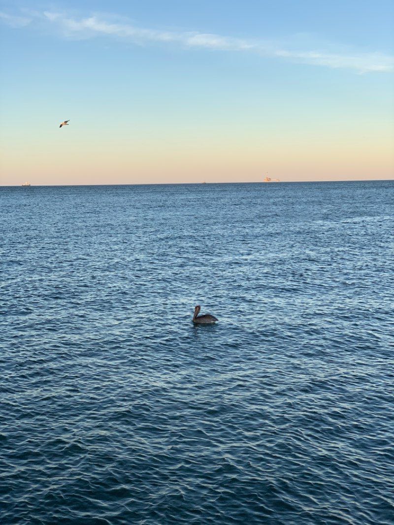 walking near me in Fort Gaines in winter
