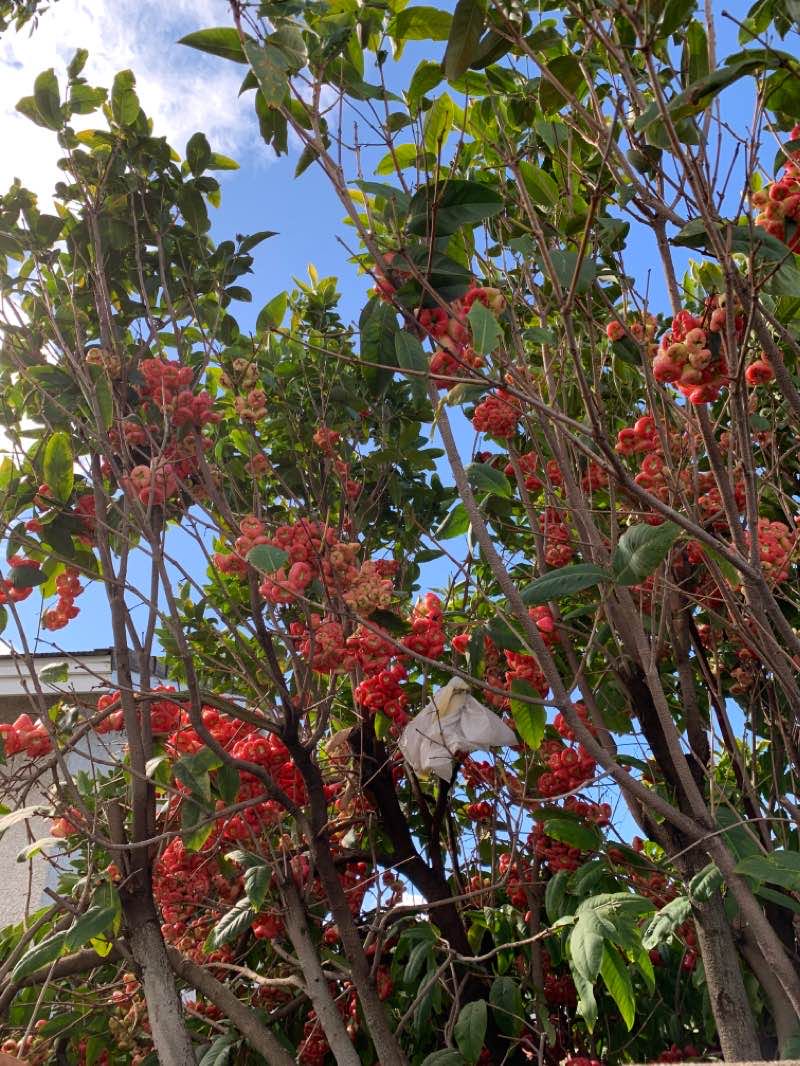 walking near me in Paradise Park in winter