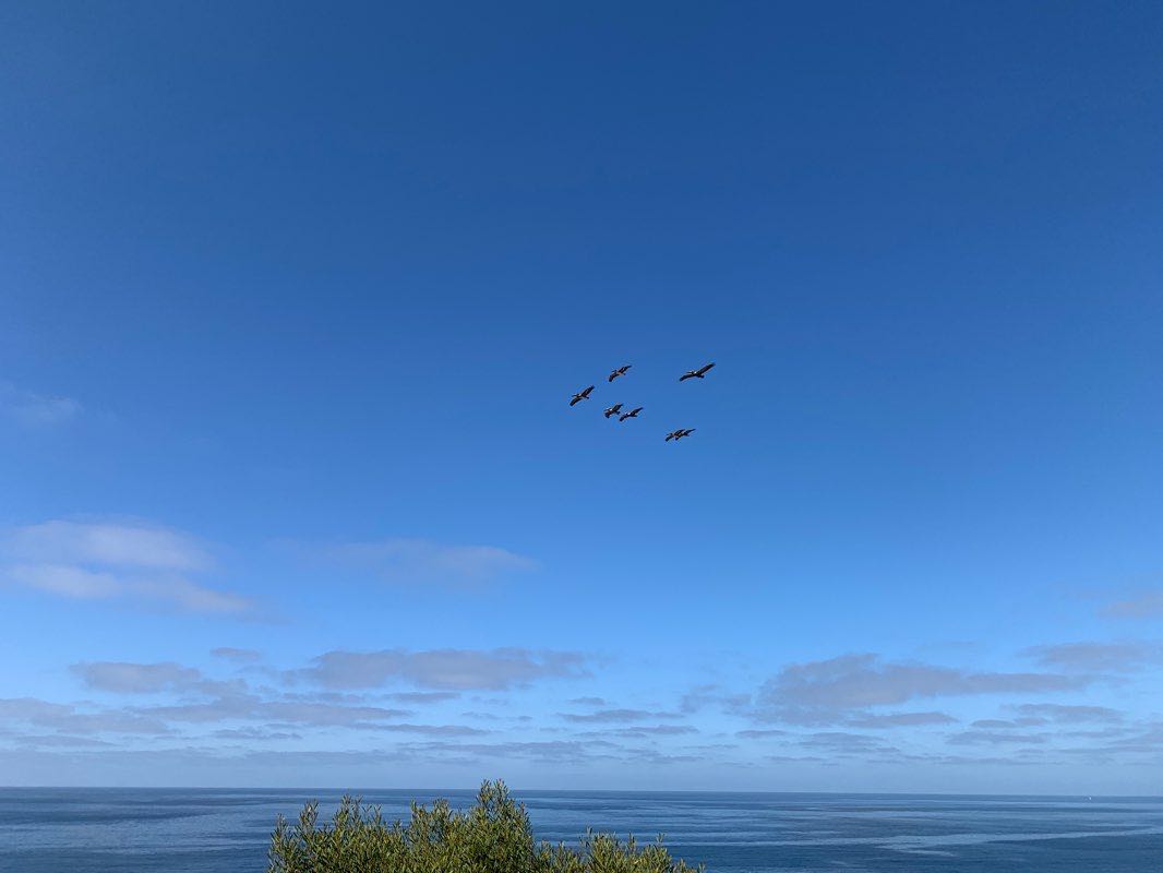 walking near me in Fred Hesse Jr. Community Park in winter