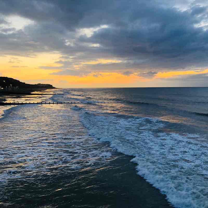 Suki 🍸💞 post 2