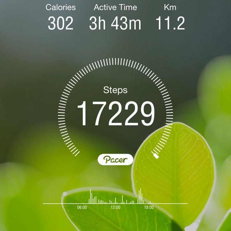 Suki 🍸💞 post 1