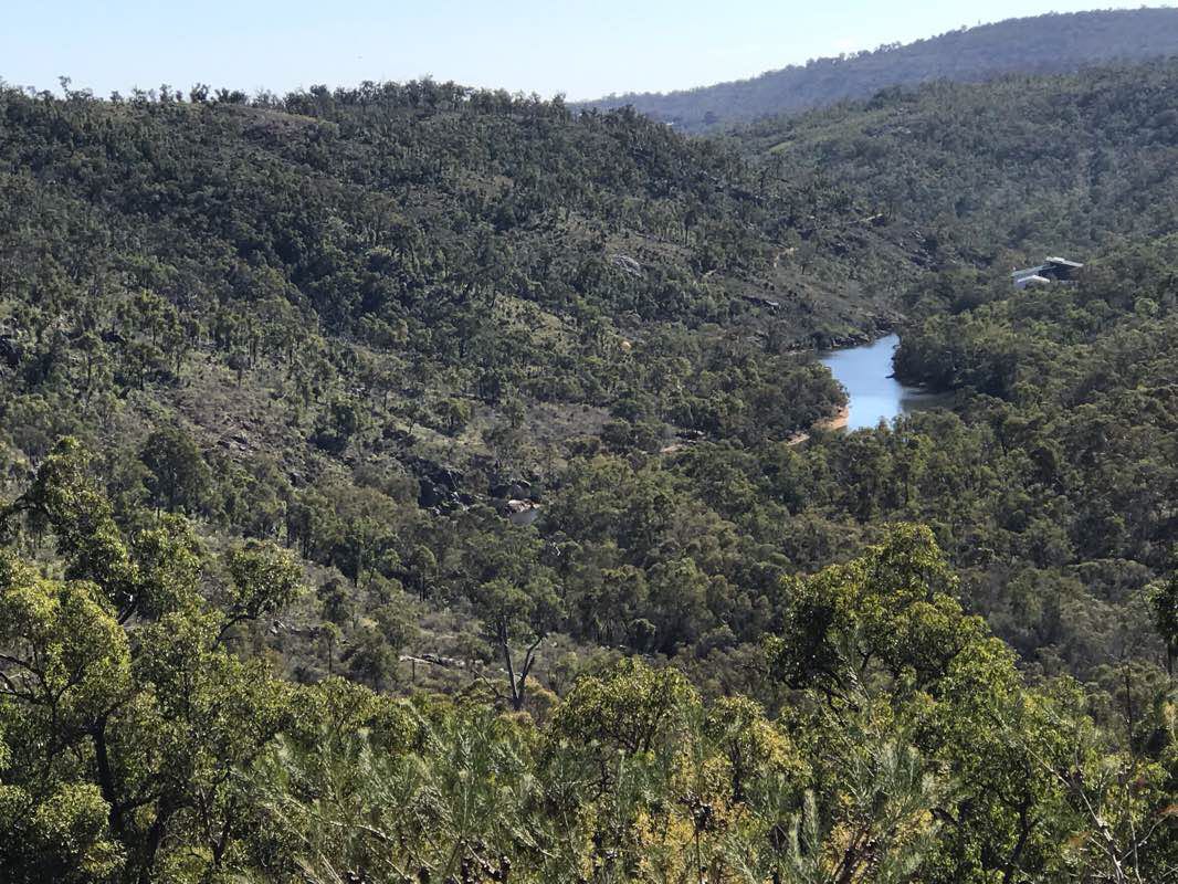 walking near me in Kalamunda National Park in summer