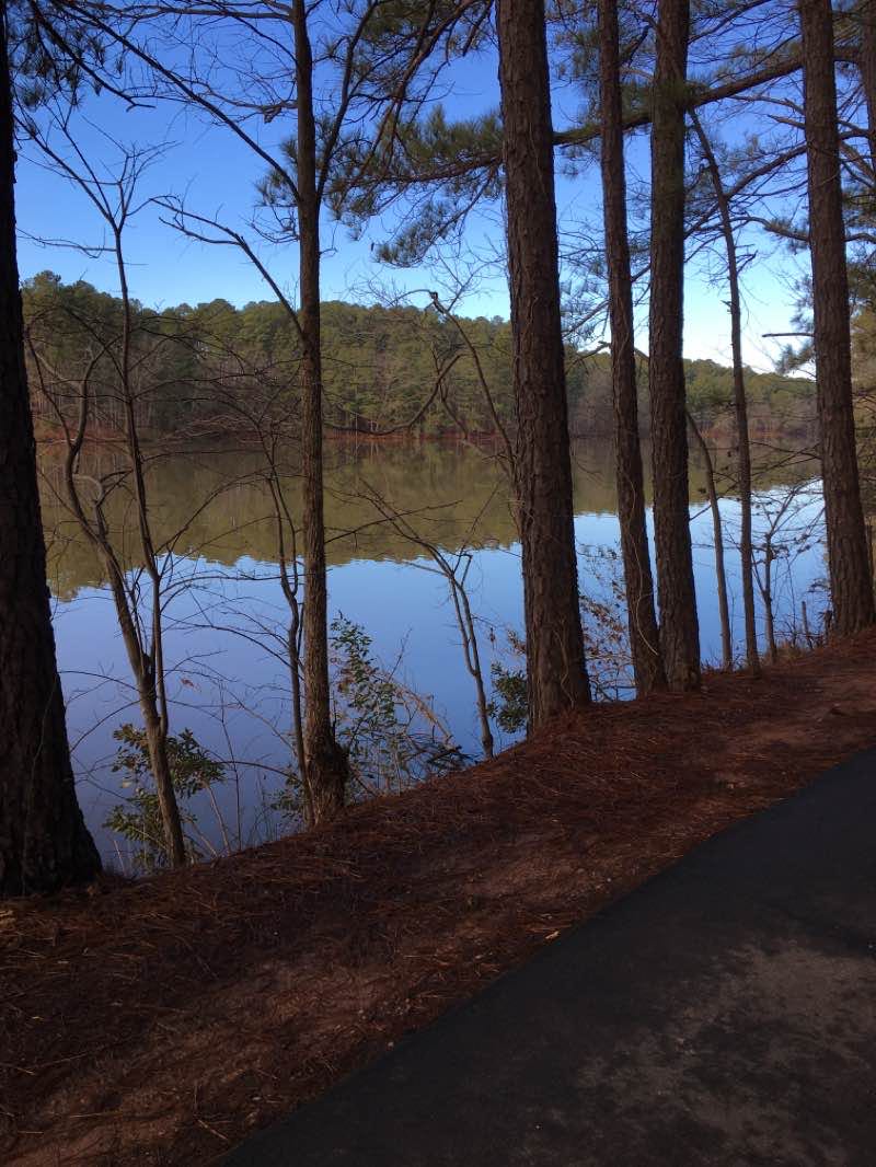 walking near me in Apex Community Park in winter