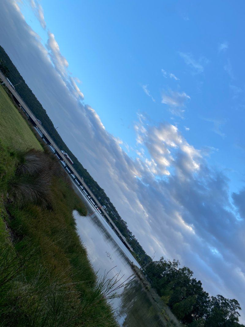 walking near me in McDonald Parade Reserve in summer