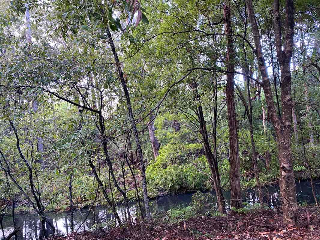 walking near me in Ulladulla Rotary Park in summer