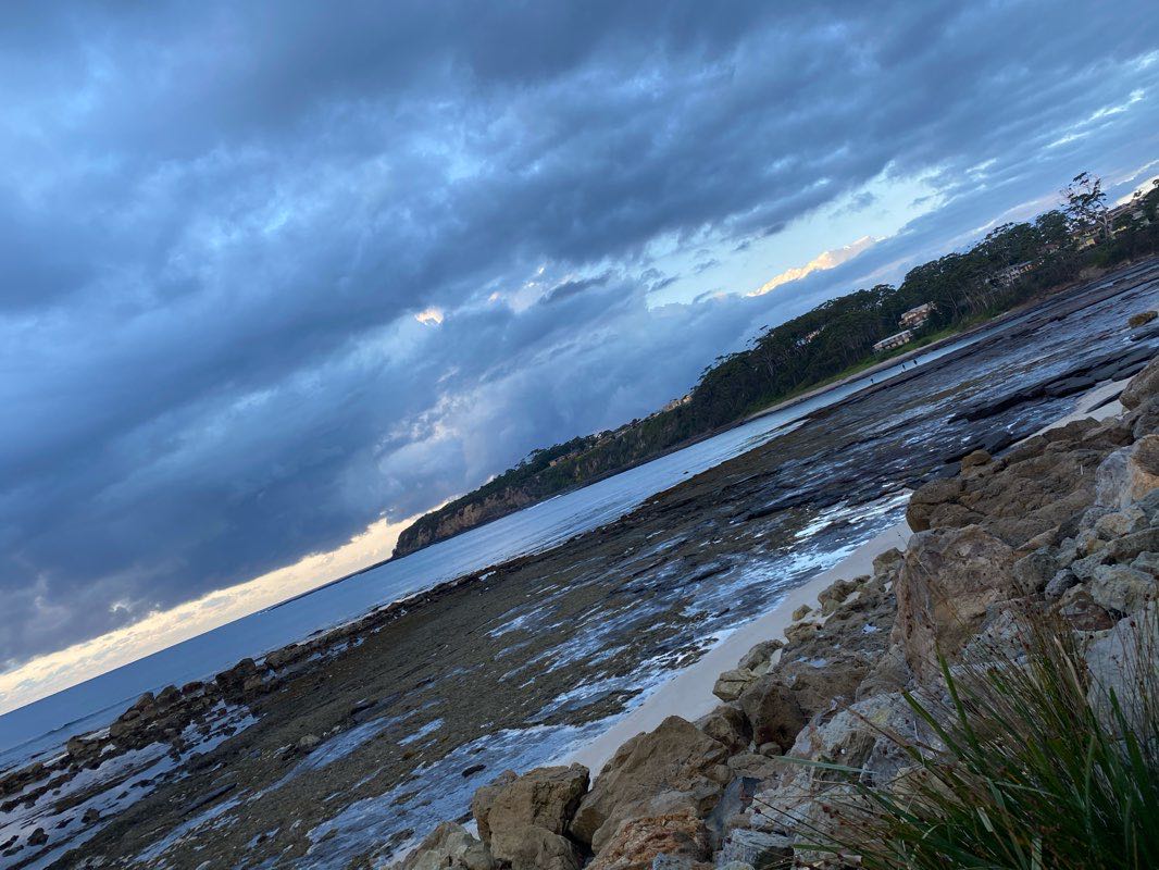 walking near me in Edith Twynam Reserve in summer