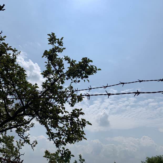 quella del parco campo dei fiori post 2