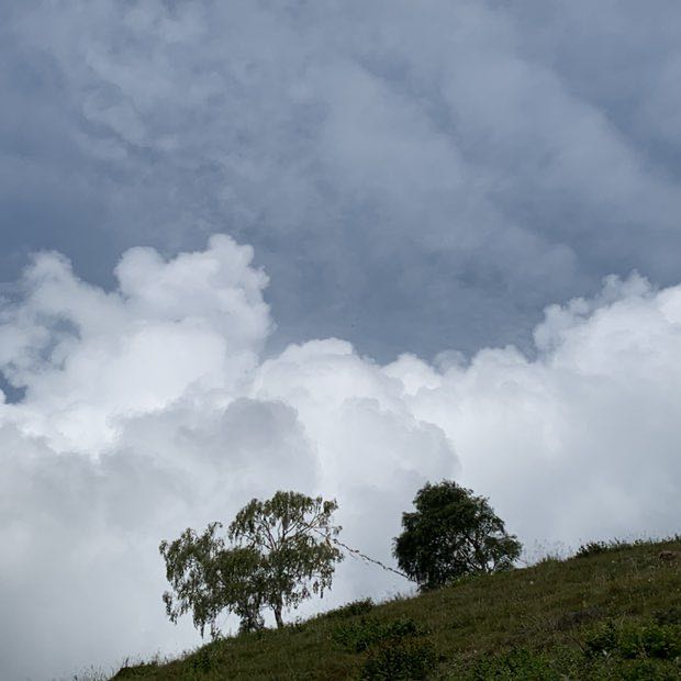 quella del parco campo dei fiori post 3