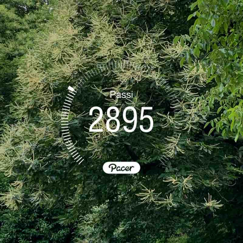 quella del parco campo dei fiori post 1