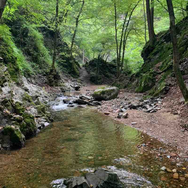 quella del parco campo dei fiori post 3