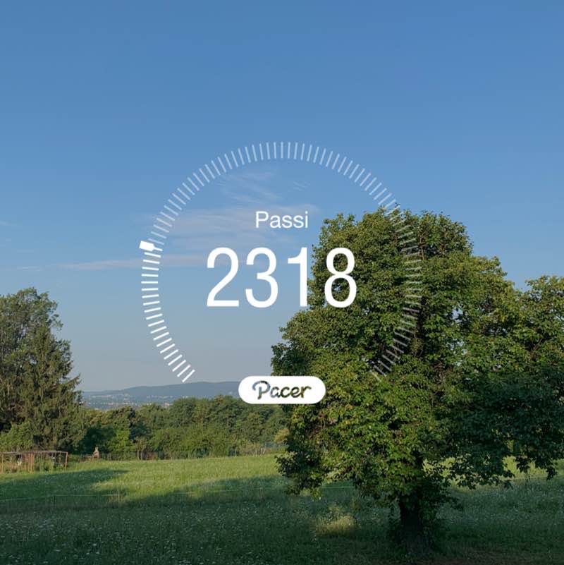 quella del parco campo dei fiori post 1