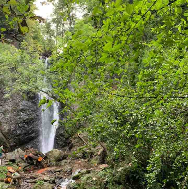 quella del parco campo dei fiori post 2