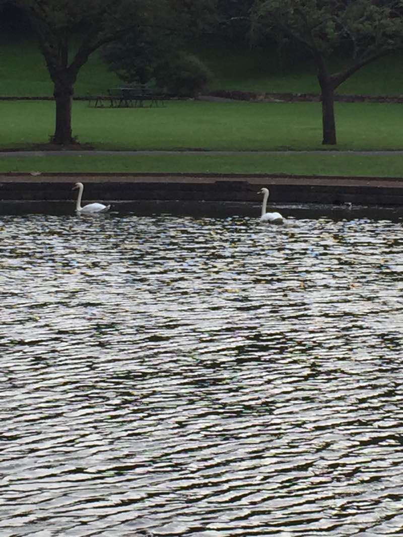 walking near me in Tunstall Park in winter