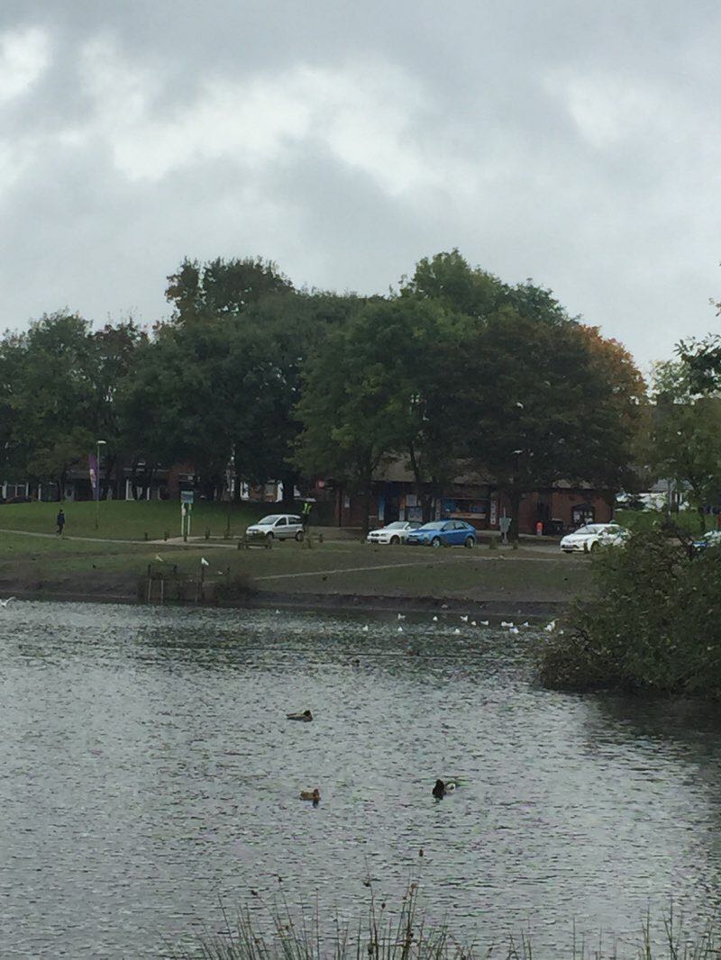 walking near me in Central Forest Park in winter