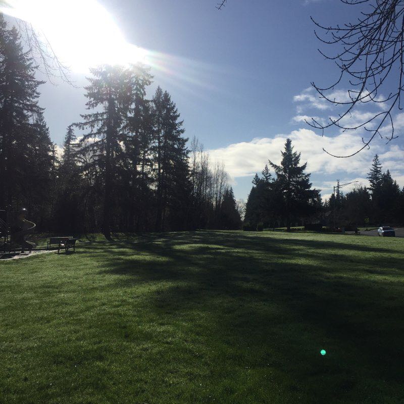 walking near me in Klahanie Park in winter