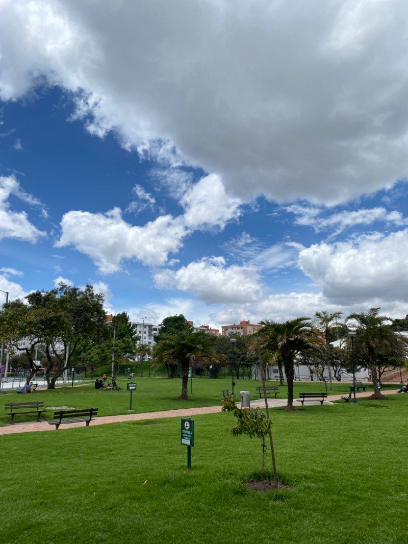 walking near me in Parque Sauzalito in winter