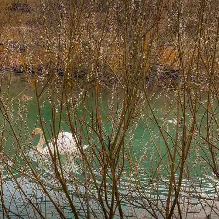 OlgaVolha 🇧🇾 post 1