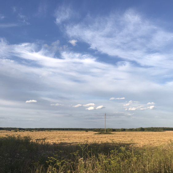 OlgaVolha 🇧🇾 post 2