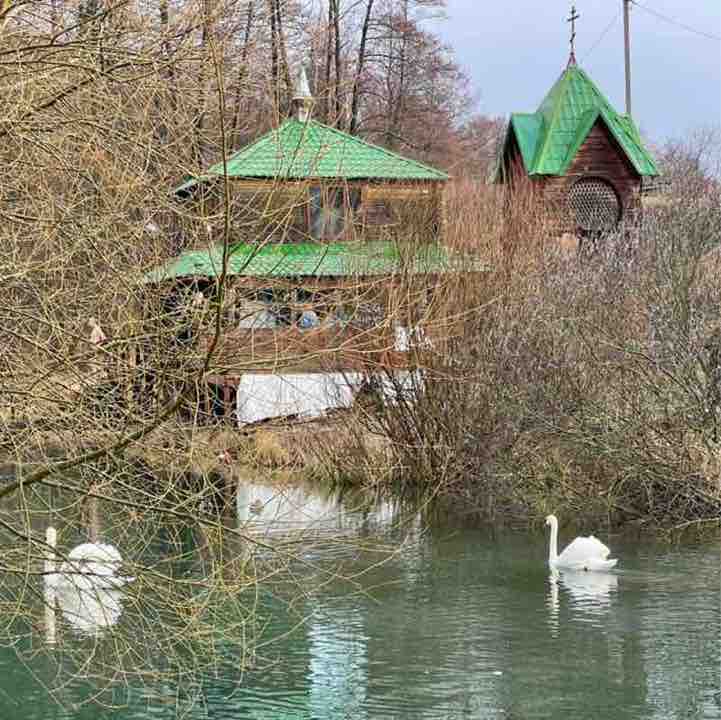 OlgaVolha 🇧🇾 post 2