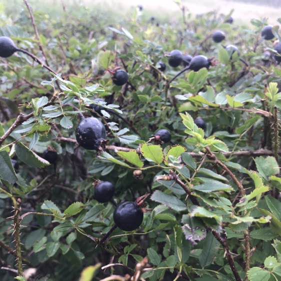 OlgaVolha 🇧🇾 post 2