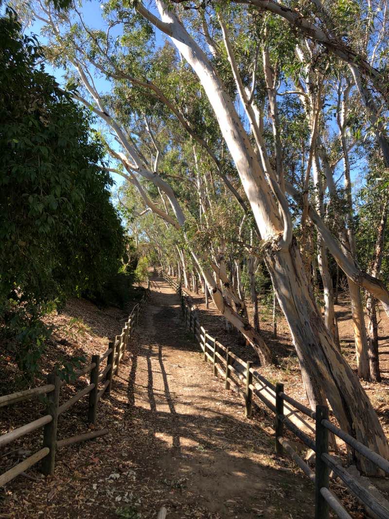 walking near me in Pioneer Road Park in winter