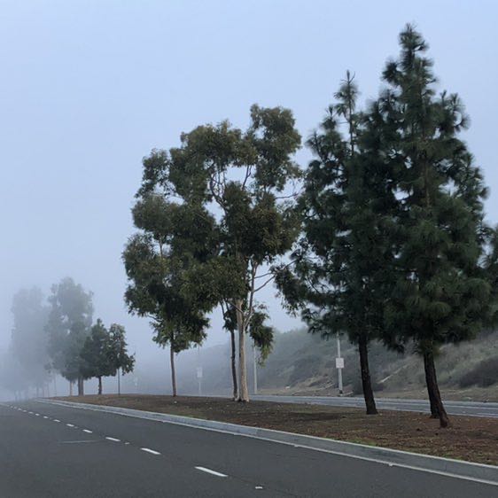 Ricardo ♐️ post 2